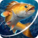 钓鱼胡克 v2.6.5手机版